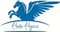 PRIME PEGASUS PC